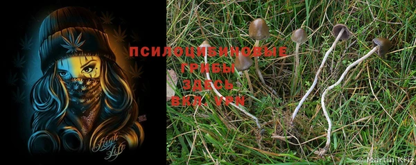 мдма Богородицк