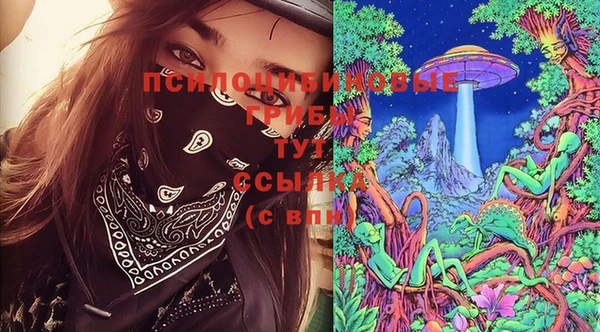 мдма Богородицк