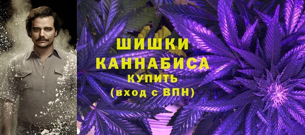 a pvp Богородск