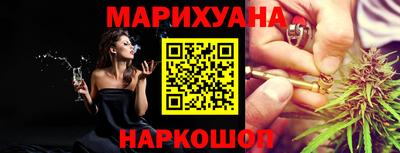 шишки Будённовск