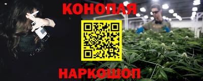 шишки Будённовск