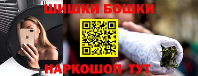 шишки Будённовск