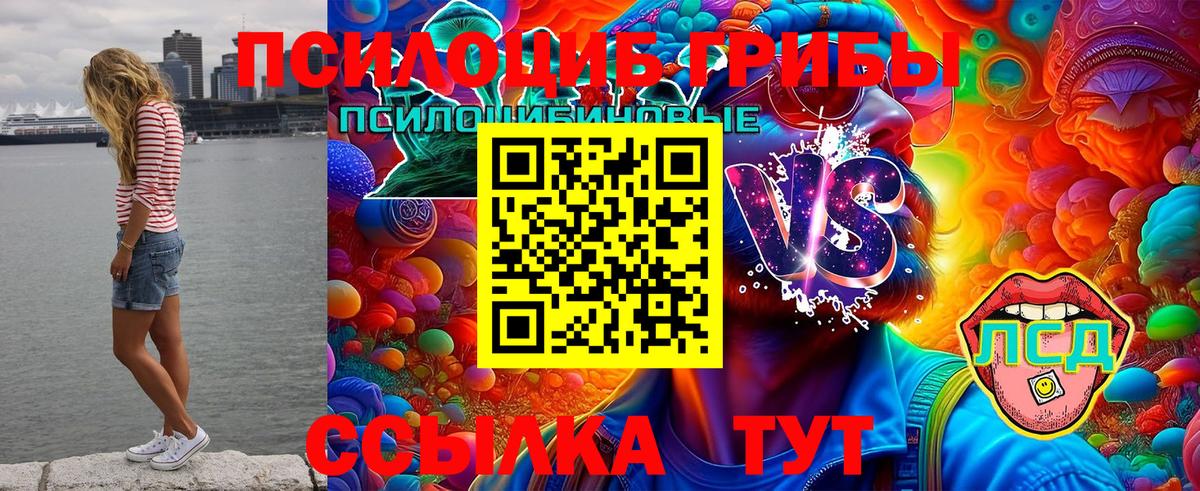 Галлюциногенные грибы мухоморы Воркута