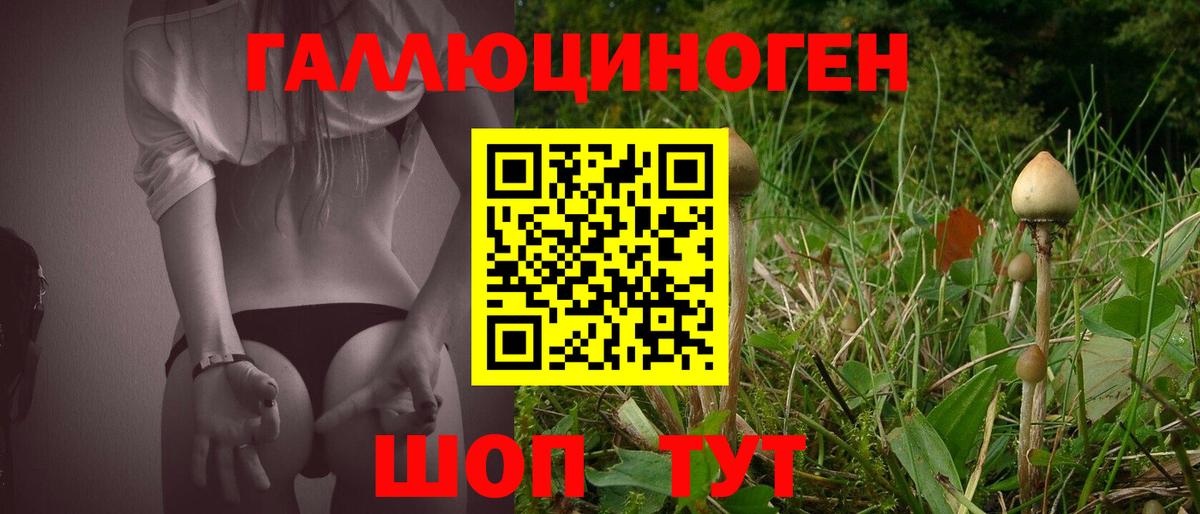 Воркута  Псилоцибиновые грибы Magic Shrooms  Псилоцибиновые грибы Cubensis  наркота  Вход с VPN 