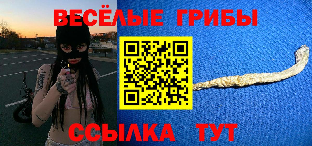 Галлюциногенные грибы Psilocybine cubensis Воркута