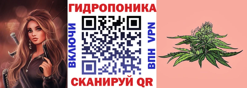 OMG ССЫЛКА  Воркута  сайты даркнета формула  Бошки марихуана планчик 